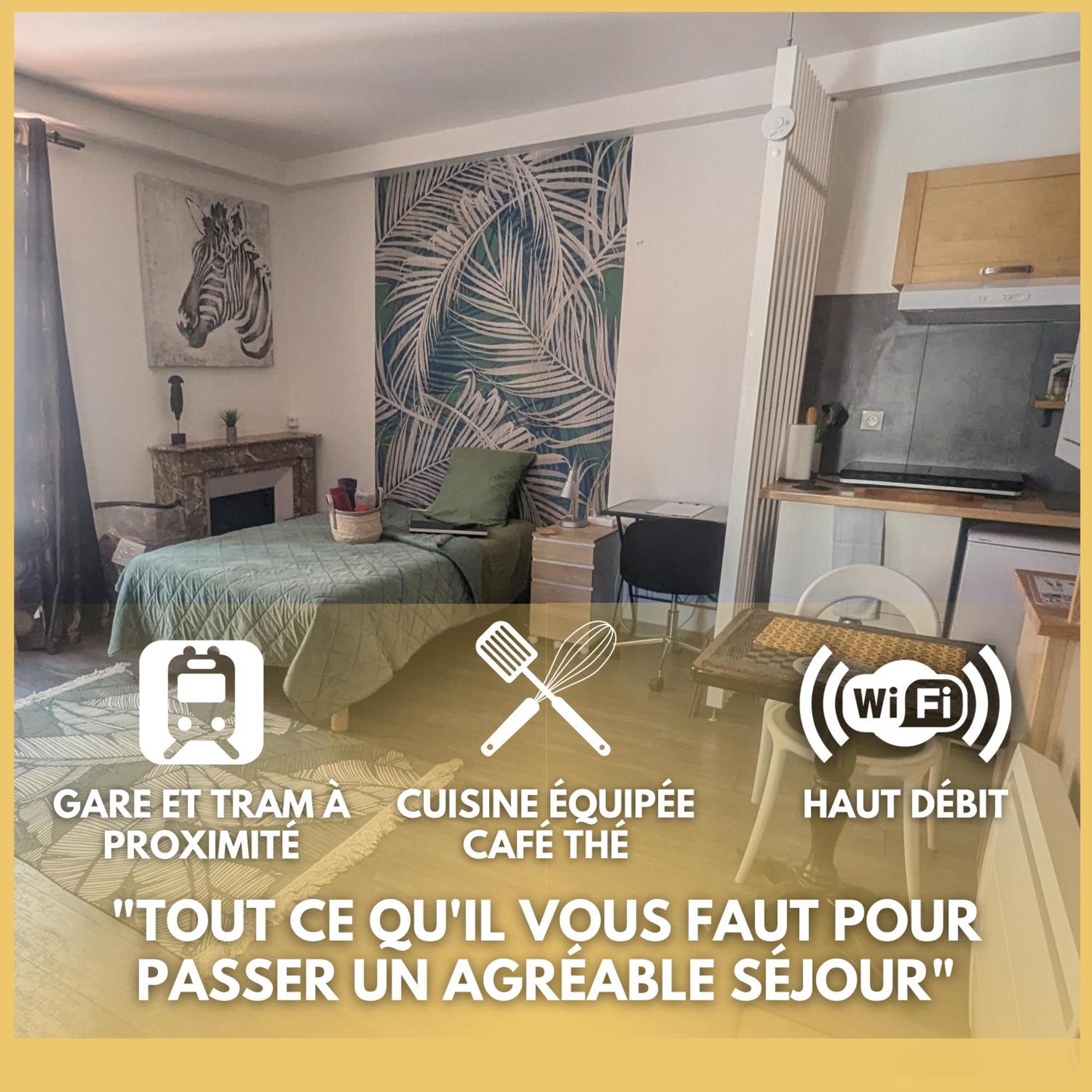 גרנובל Beaublache Residence Studios Meubles מראה חיצוני תמונה